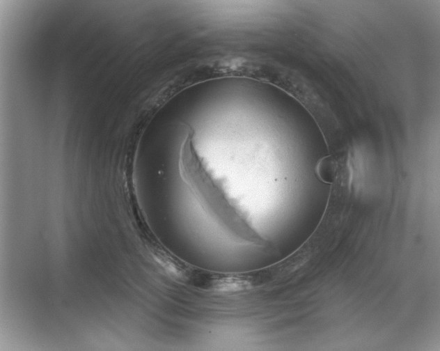 X0000070360754200606121209