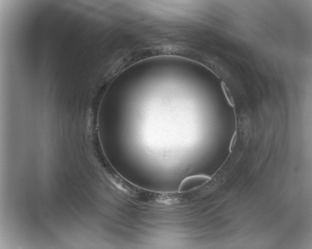 X0000070360760200606121209