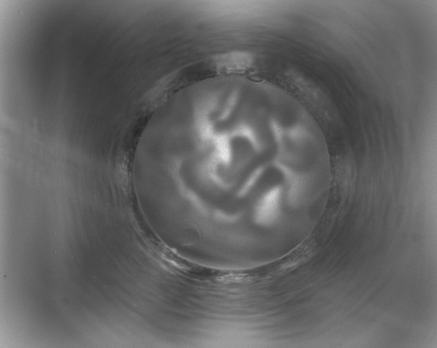 X0000070360761200606121209