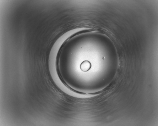 X0000070360762200606121209