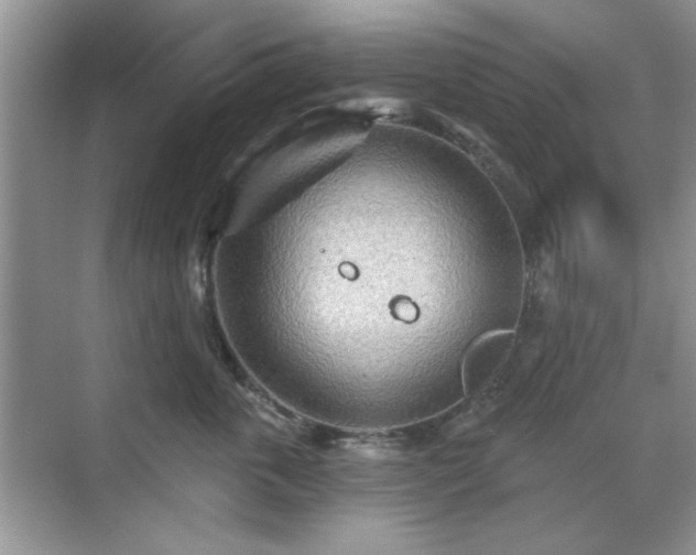 X0000070360763200606121209