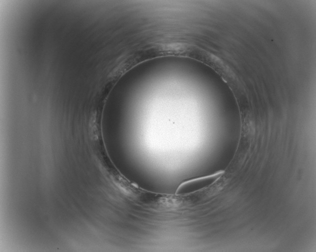 X0000070360764200606121209