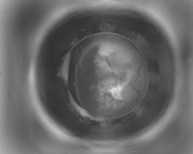 X0000070360765200606121209