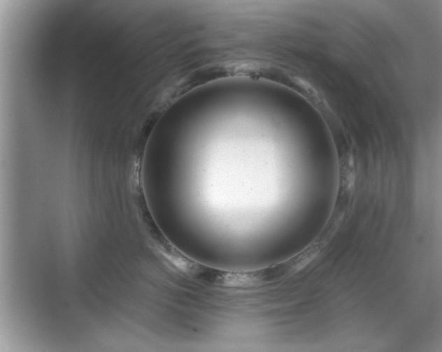 X0000070360766200606121209