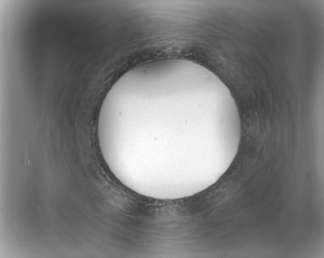 X0000070360769200606121208