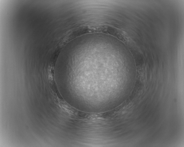 X0000070360770200606121208