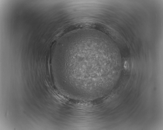 X0000070360771200606121208