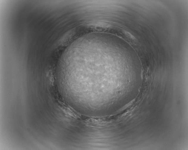 X0000070360774200606121208