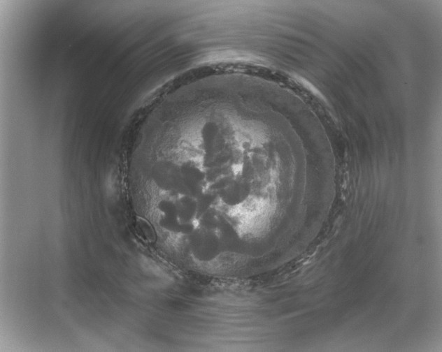 X0000070360775200606121208