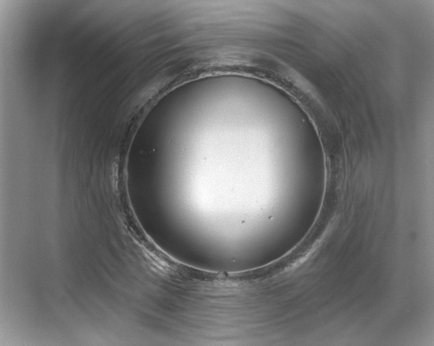 X0000070360777200606121208