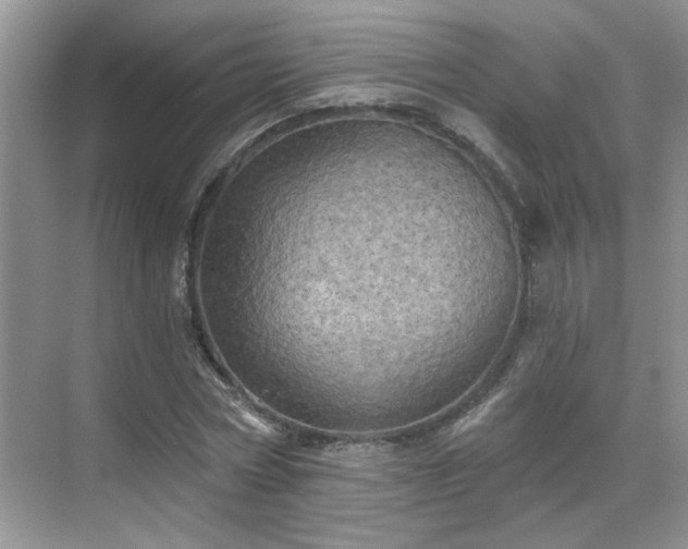 X0000070360778200606121208