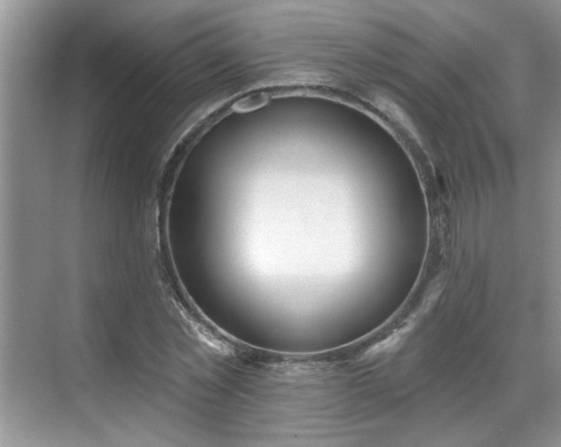 X0000070360781200606121208