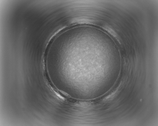 X0000070360782200606121208