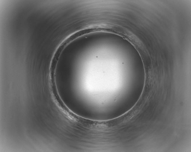 X0000070360784200606121208