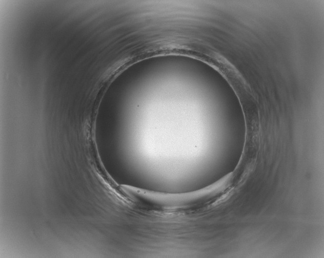 X0000070360785200606121208