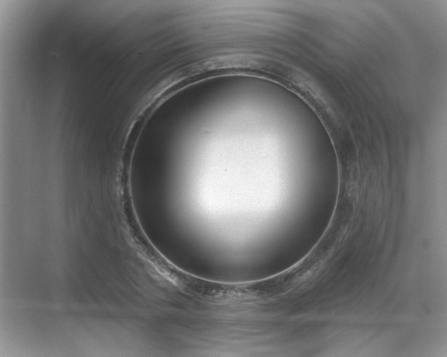 X0000070360786200606121208