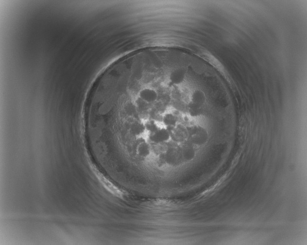 X0000070360787200606121208