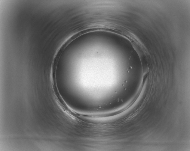 X0000070360788200606121208