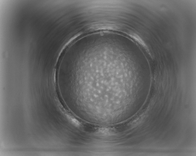 X0000070360790200606121208