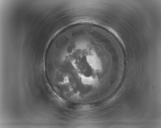 X0000070360791200606121208