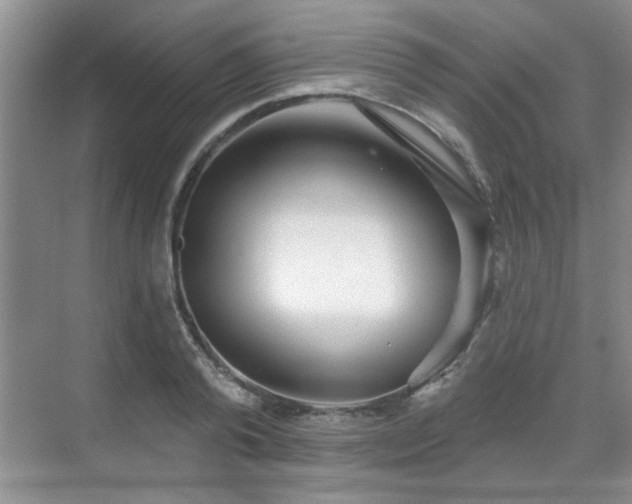 X0000070360792200606121208