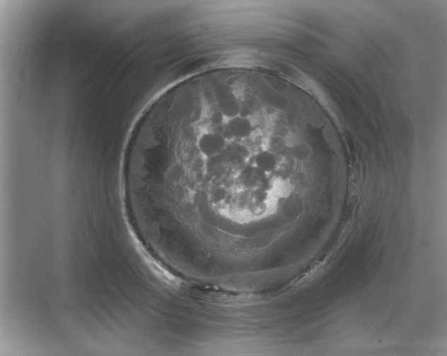 X0000070360795200606121208