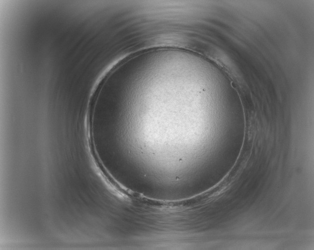 X0000070360796200606121208