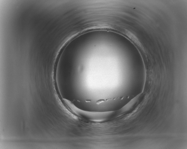 X0000070360797200606121208