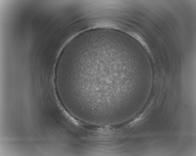 X0000070360799200606121208