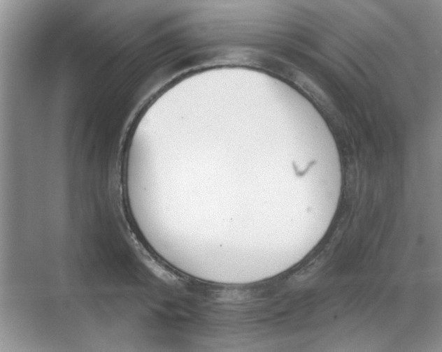 X0000070360800200606121208