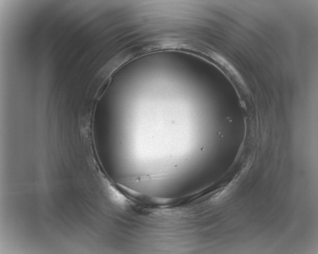 X0000070360801200606121208