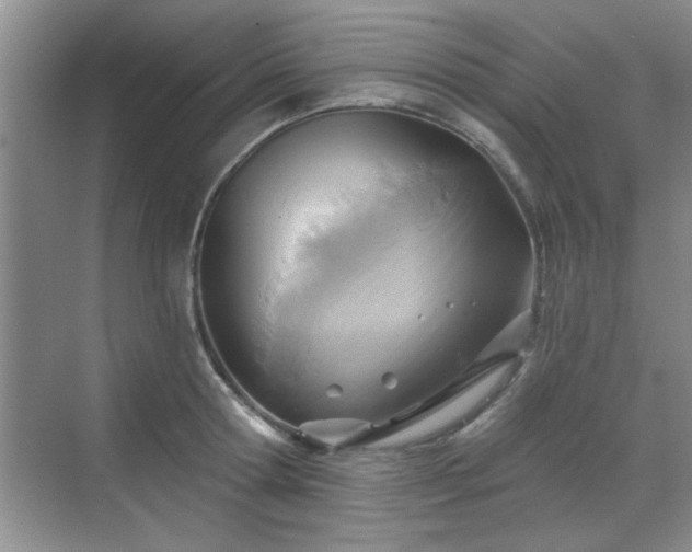 X0000070360802200606121208