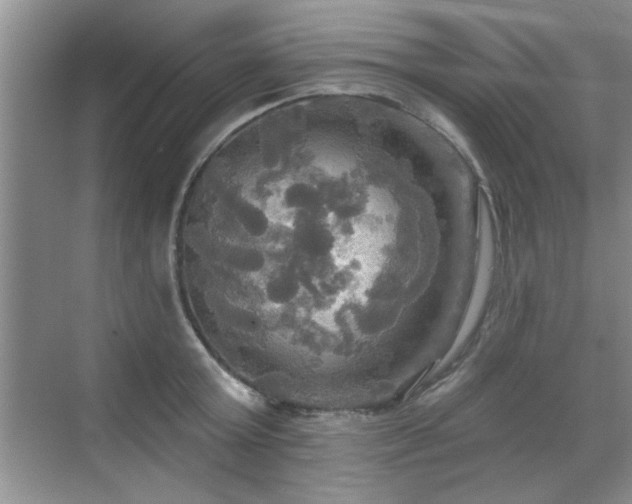 X0000070360803200606121208