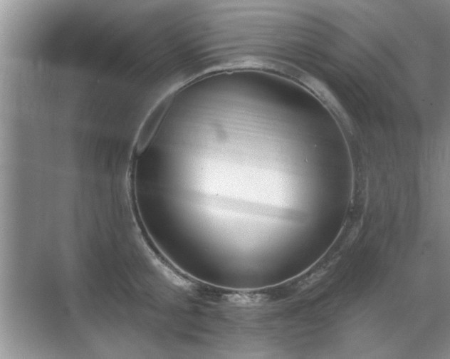 X0000070360805200606121208