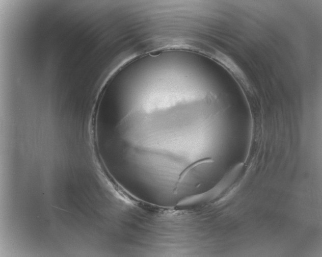 X0000070360806200606121208