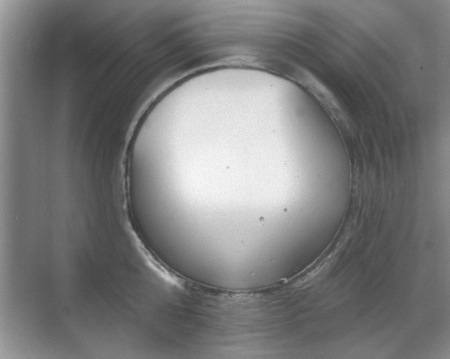 X0000070360808200606121207