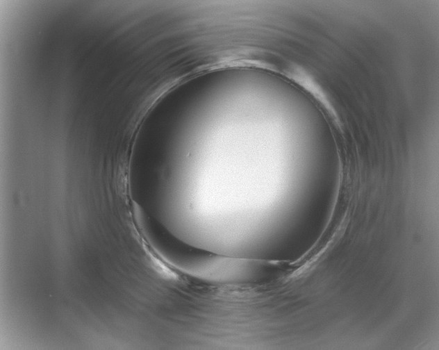 X0000070360809200606121207