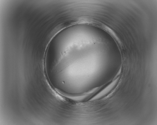 X0000070360810200606121207