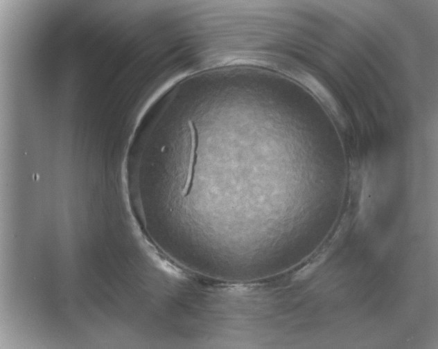 X0000070360814200606121207