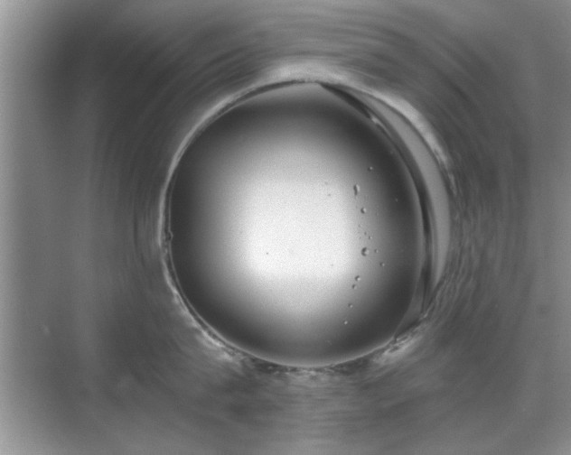 X0000070360815200606121207