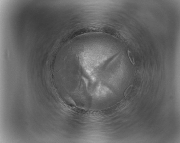 X0000070360817200606121207