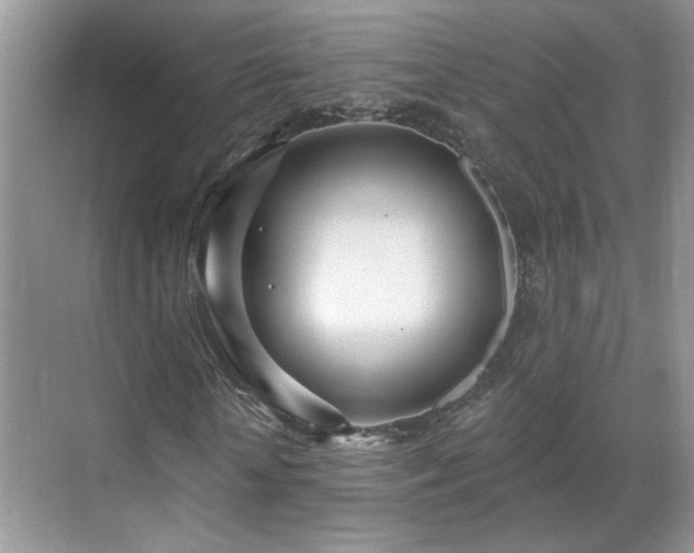 X0000070360818200606121207