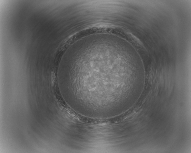 X0000070360821200606121207