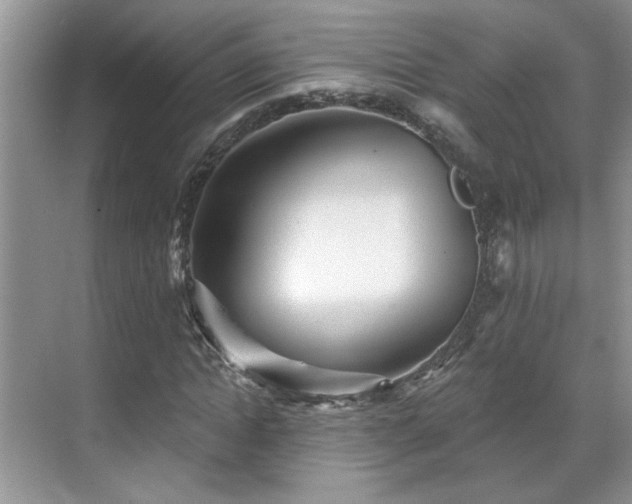 X0000070360822200606121207