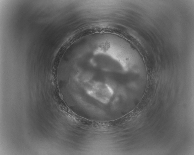 X0000070360823200606121207