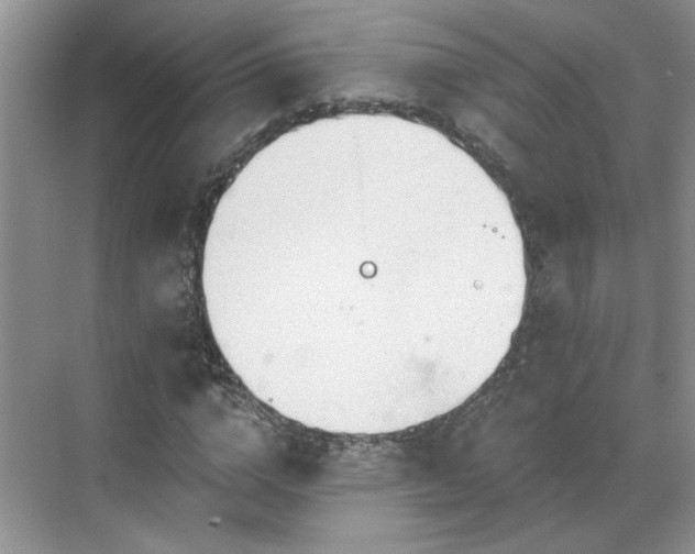 X0000070360824200606121207