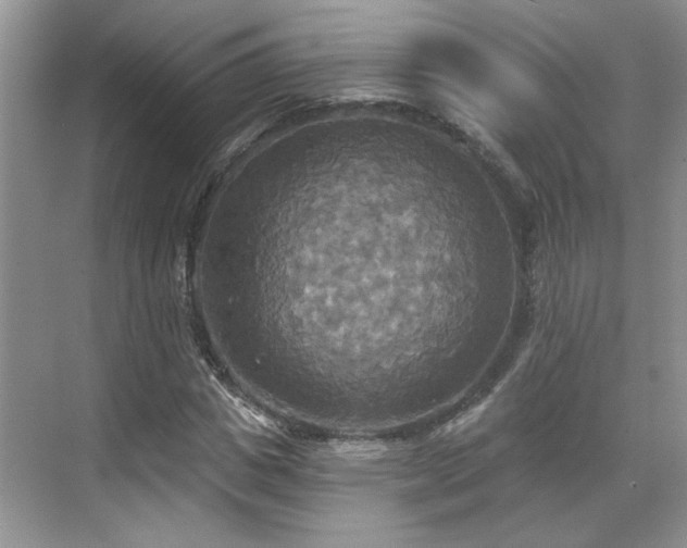 X0000070360825200606121207