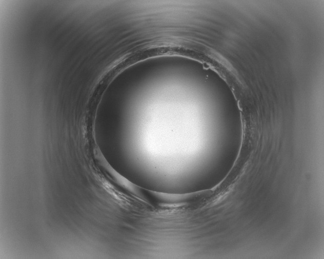 X0000070360826200606121207