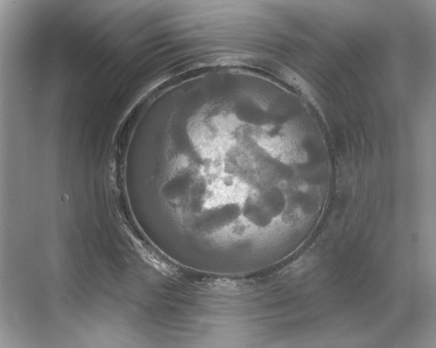 X0000070360827200606121207