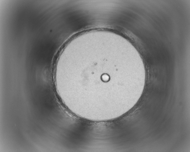 X0000070360828200606121207